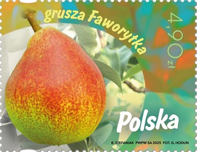 Znaczek pocztowy Owoce naszych sadów Grusza Faworytka emisja Poczta Polska 2025