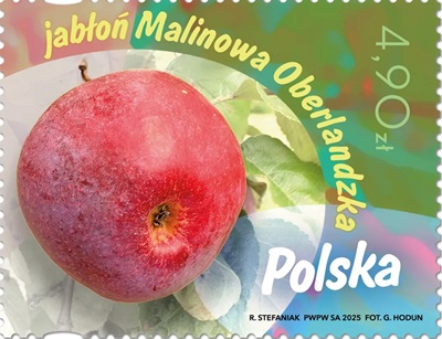 Znaczek pocztowy Owoce naszych sadów Jabłoń Malinowa Oberlandzka emisja Poczta Polska 2025