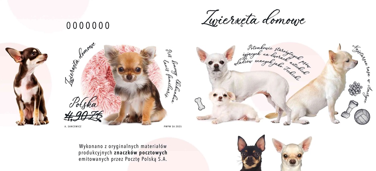 Nowodruki znaczka emisji z Zwierzęta domowe - pies rasy chihuahua